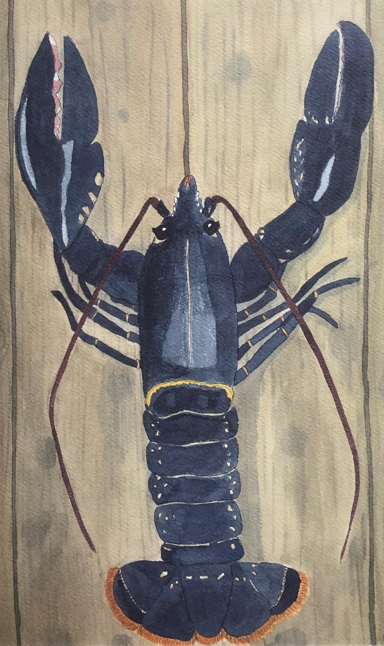 Print Homard Bleu Breton A3
